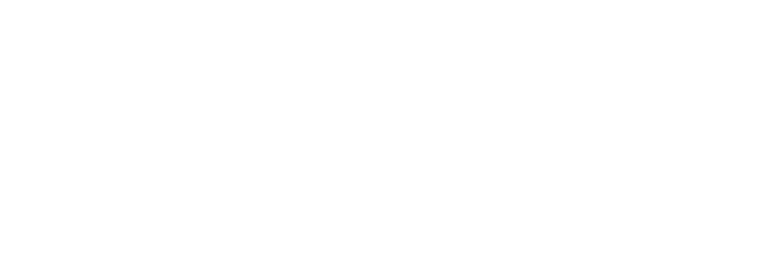 FoneFluent
